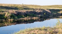 Тастыбутакское ущелье на реке Кумак. Май 2021 года