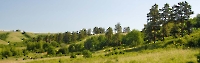 Малокинельские яры с сосновым редколесьем