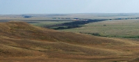 Урочище Караагач