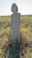 Курганная группа западнее села Тамар-Уткуль