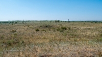 Курганный могильник «Черный Яр»
