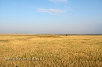 Степные урочища с курганами 