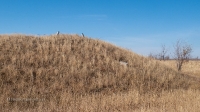 Курган