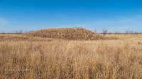 Курган