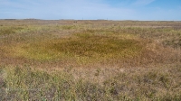 Еленовский рудник