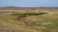Ясненский район