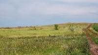 Рудники у Косматой Шишки