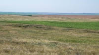 Рудники у Косматой Шишки