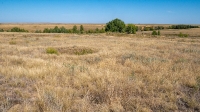 Акбулакский район