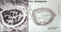 Укреплённое поселение Аландское (Аландское городище)
