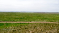 Курганы у дороги Гай-Оренбург