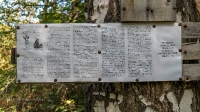 Родник Вишневка