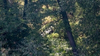 Родник Вишневка