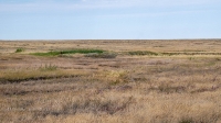 Родник Тасбулак