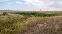 Родник Тасбулак