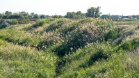 Родник «У бобровой плотины»