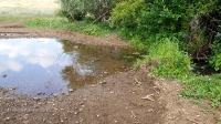 Река Усолка