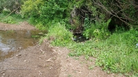 Река Усолка