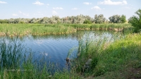 Река Баузда. Июнь 2021 года