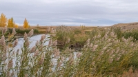 Река Каинда