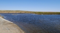 Река Жарлы (Джарлы)