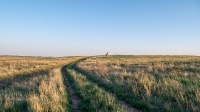 Памятник близ урочища Акжар. Май 2021 года