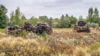 Постройки круглой формы (плавильные печи)