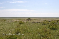 Адамовский район