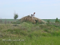 Необычный придорожный памятник