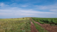 Гора Косматая Шишка