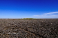 Орск