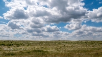 Беляевский район