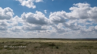 Беляевский район