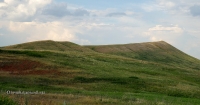 Саракташский район