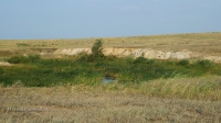 Адамовский район