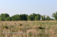 Домбаровский район