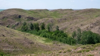 Гайский район