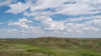Гайский район