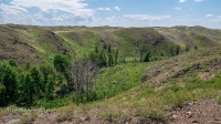 Гайский район