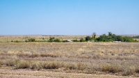 Село Троицк. Август 2021 года