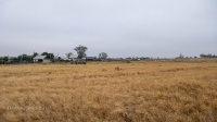 Село Болотовск. Август 2021 года