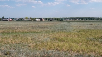 Село Красногор