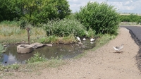 Посёлок Уранбаш