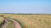 Село Нижняя Кийма. Июль 2022 года