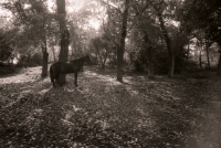 Село Таллы. 1988 год