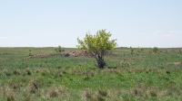 Село Ащельсай. 2021 год
