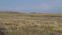 Аул Коинсай (Каинсай)