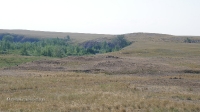Аул Коинсай (Каинсай)