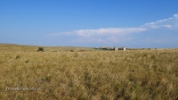 Кладбище близ аула Коинсай (Каинсай)