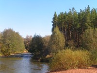 Река Боровка